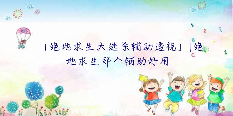 「绝地求生大逃杀辅助透视」|绝地求生那个辅助好用